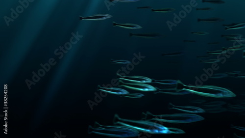 Shoal of fishes with alpha channel