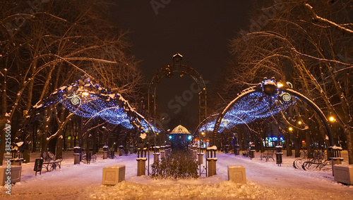 decorated winter city park