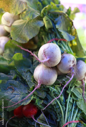 watermelon radishes