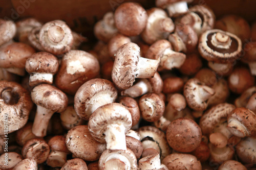 whole mushrooms