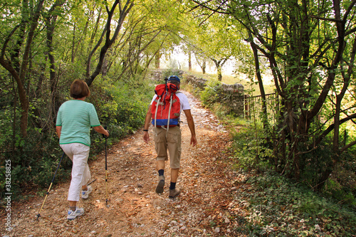 Anziani escursionisti nel bosco