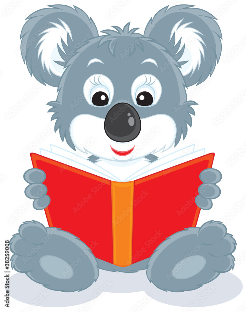Naklejka premium Koala cub reading a red book