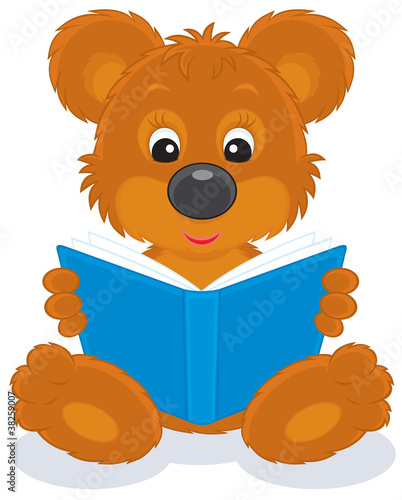 brown bear cub reading a blue book