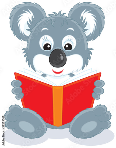 Koala cub reading a red book