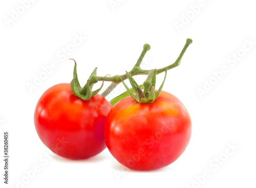 Wallpaper Mural Tomato isolated on white background. Torontodigital.ca