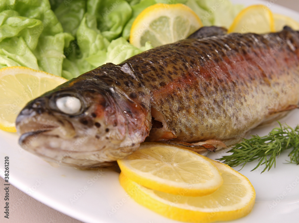 grilled trout