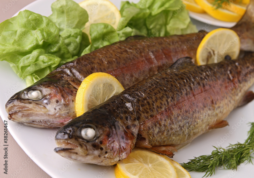 grilled trout