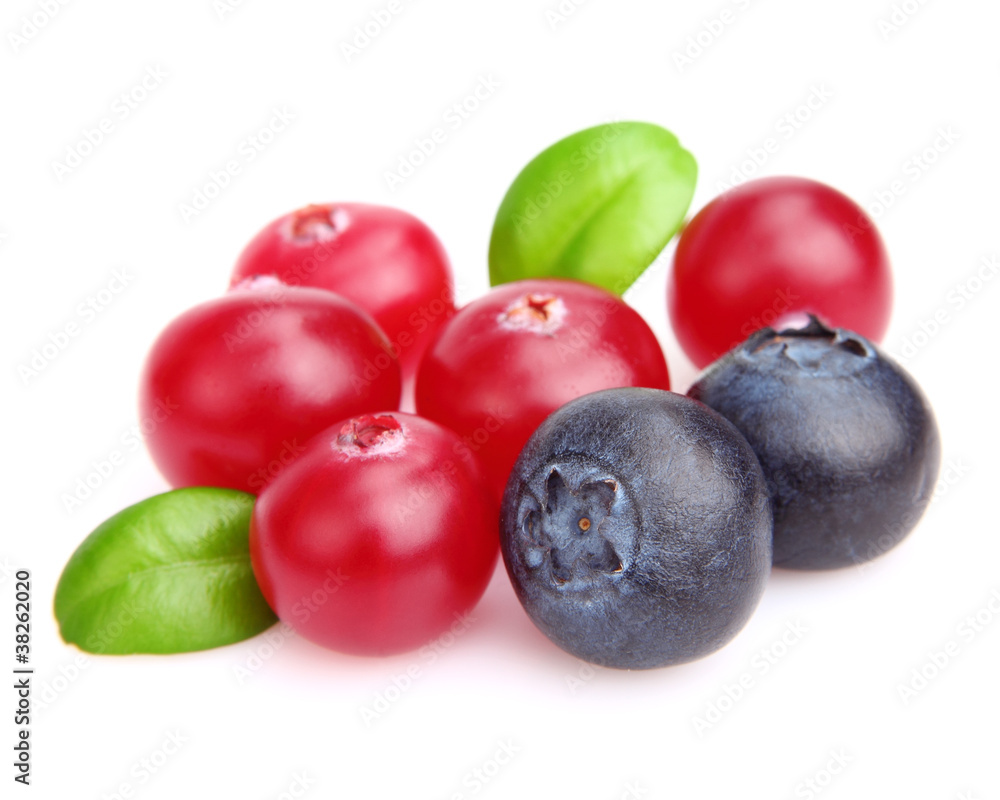 Cranberry with blueberry Cranberry with blueberry