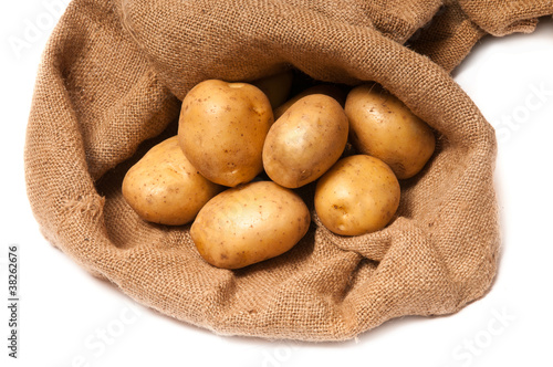 potato tubers photo