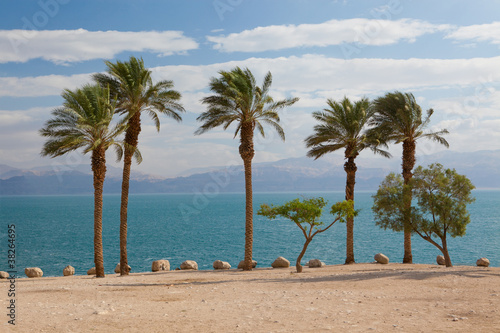Dead Sea in Israel © pirotehnik