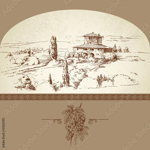 hand drawn vineyard