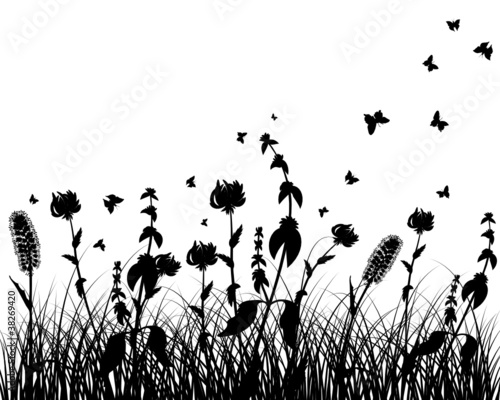 meadow silhouette