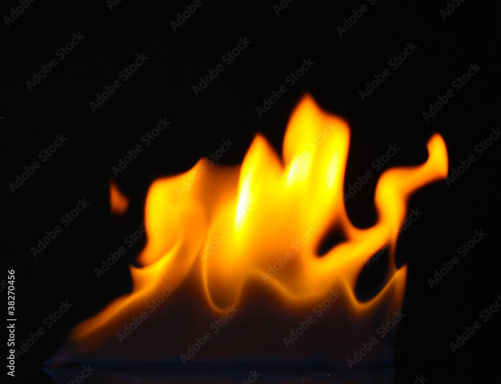 beautiful fire on a black background