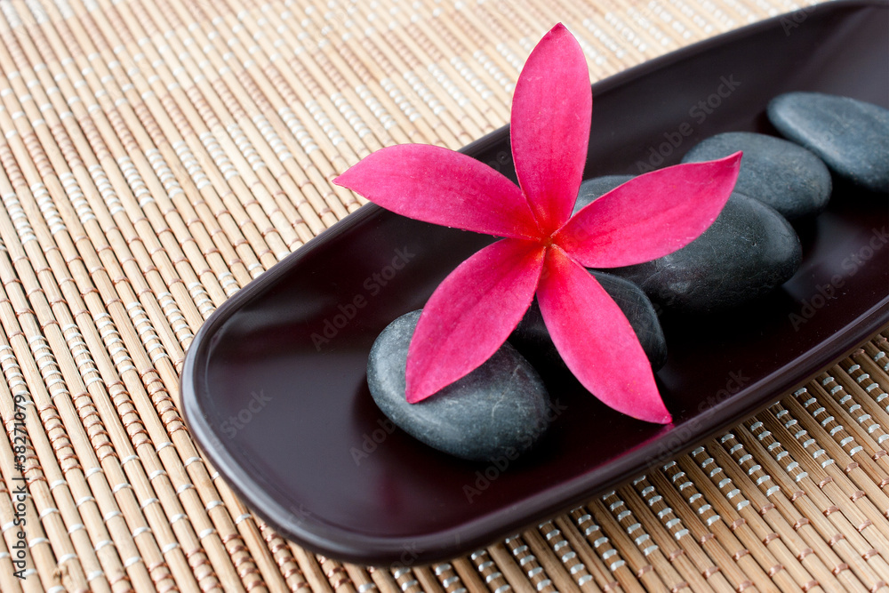 Tropical Plumeria Frangipani with spa stone on bamboo mat for sp Tropical Plumeria Frangipani with spa stone on bamboo mat for sp