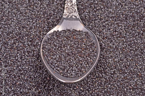 poppy seeds , close-up