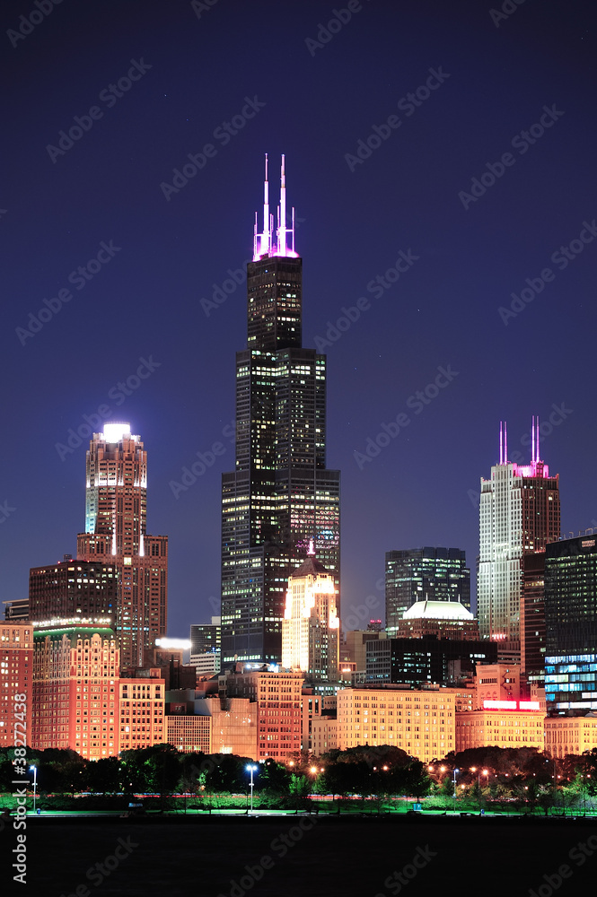 Fototapeta premium Chicago Willis tower