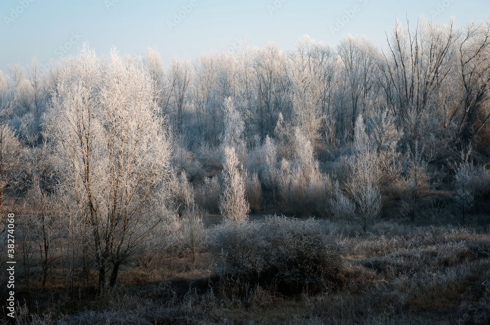Fototapeta premium Paesaggio Invernale