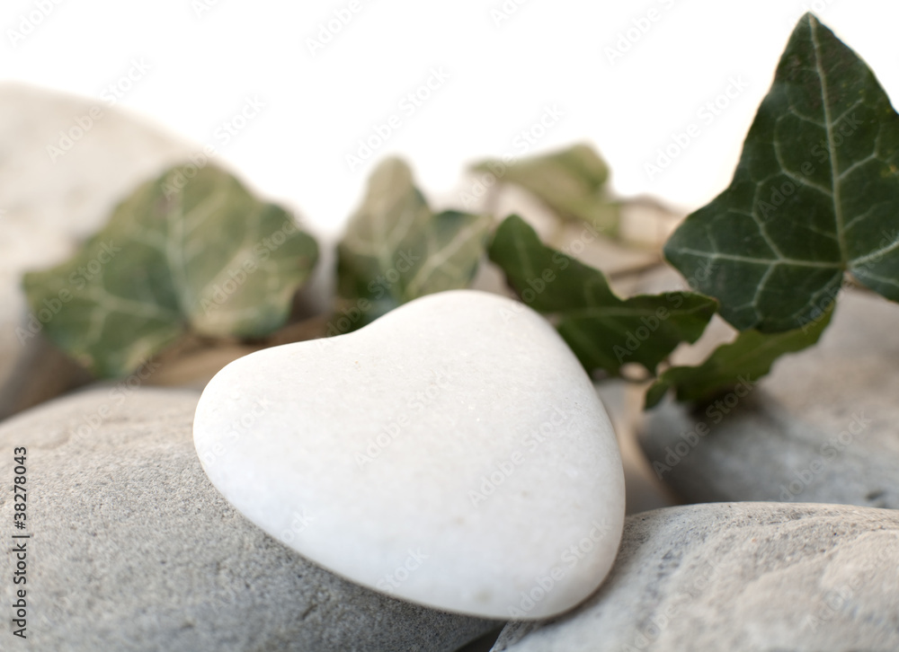 Fototapeta premium coeur nature blanc sur lierre