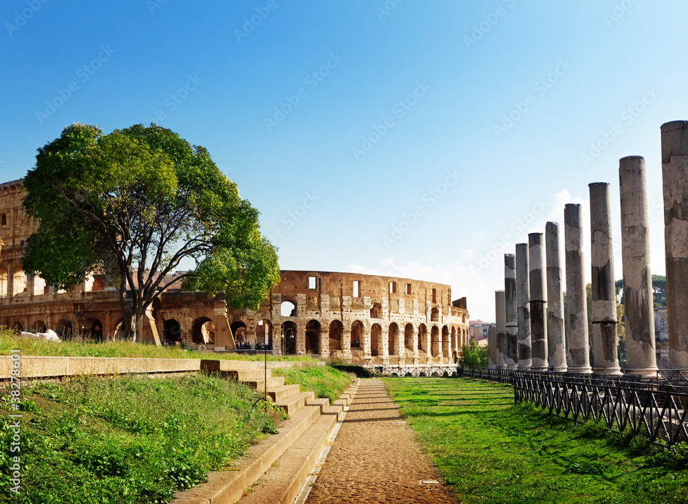 Colosseum in Rome, Italy