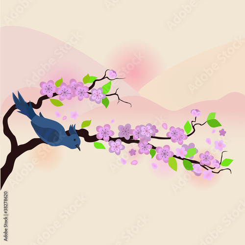 Bird sitting on blossom tree branch spring