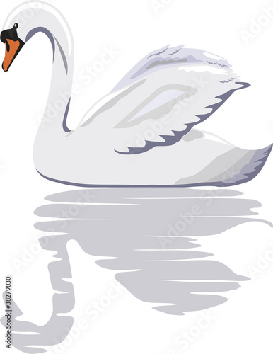 Fototapeta Naklejka Na Ścianę i Meble -  Illustration of a white swan with a reflection