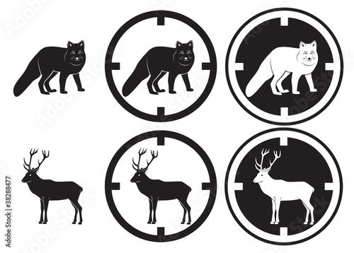 fox and deer