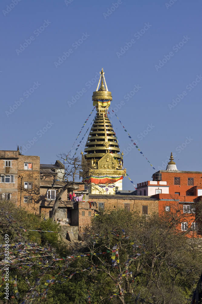 swayambhunath stupa monkey temple