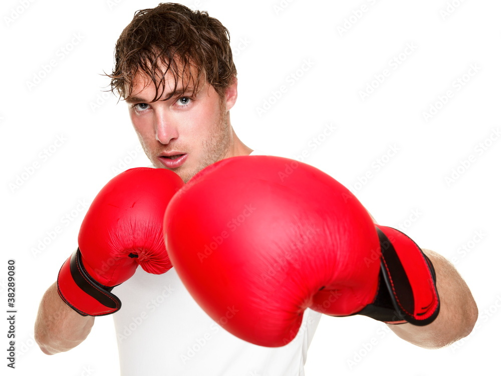 Fitness boxer boxing isolated