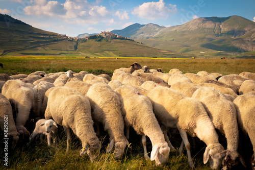 Castelluccio di Norcia photo