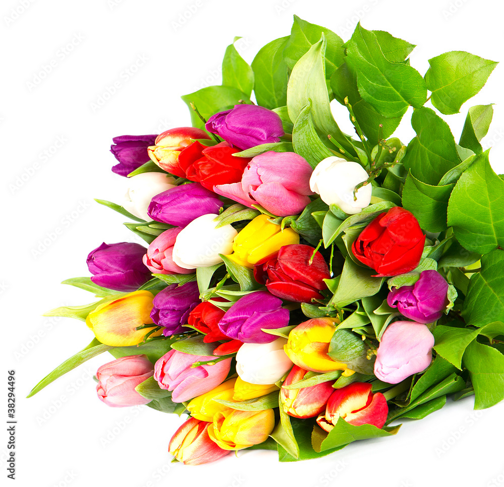 bouquet of fresh assorted tulip flowers bouquet of fresh assorted tulip flowers