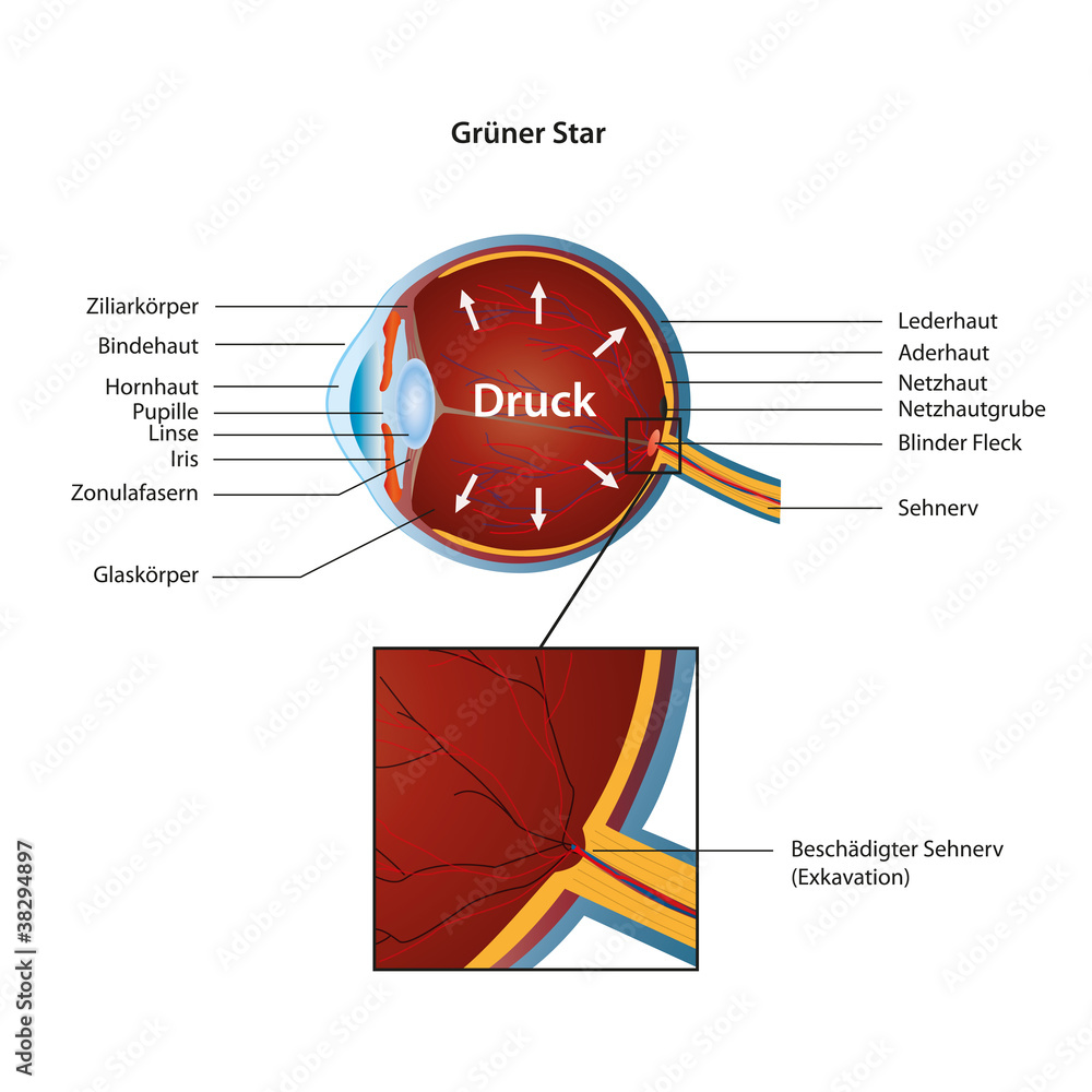 grüner star eps vektor illustration, beschreibung deutsch