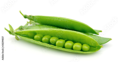 fresh green pea