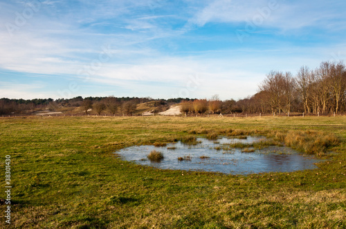 Fototapeta Naklejka Na Ścianę i Meble -  Dutch dune landscape with a frozen natural pond