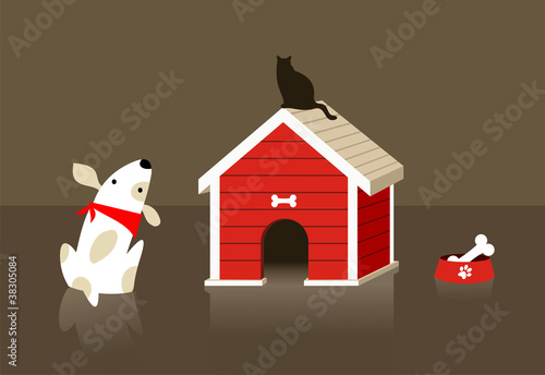 The dog and cat relation