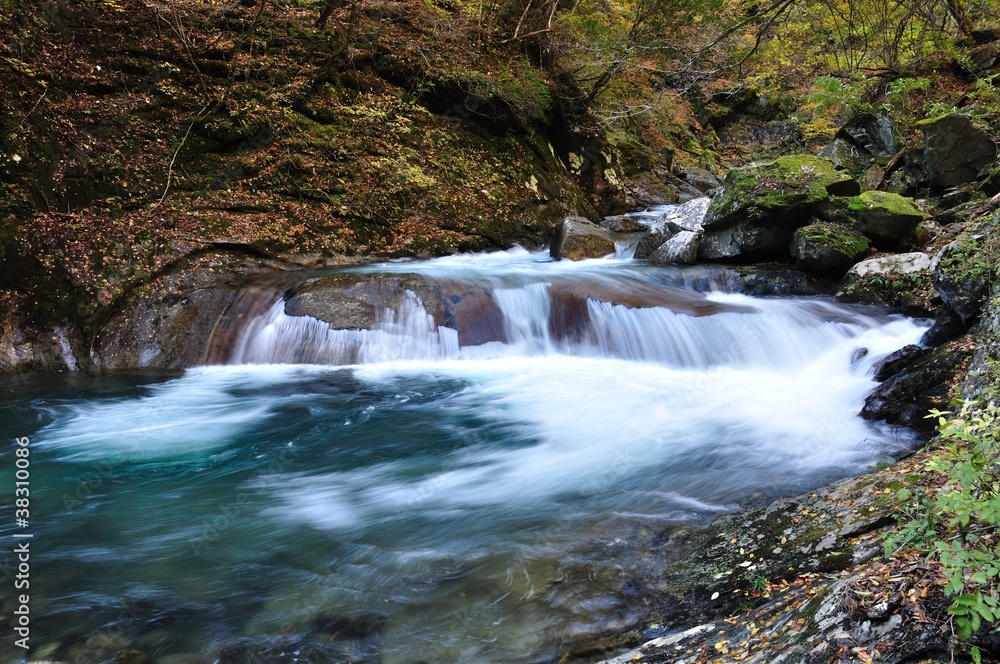 Fototapeta premium 秋の西沢渓谷