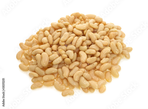 Cannellini white beans