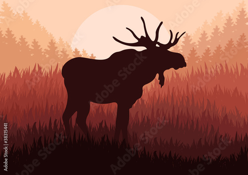 Moose in wild nature landscape background illustration vector