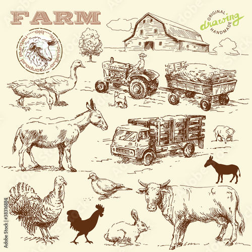 farm collection-handmade drawing