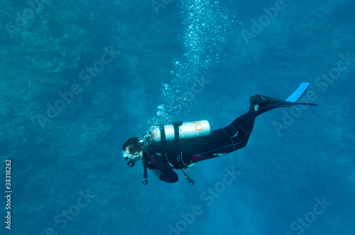 Obraz na płótnie Under Water w salonie