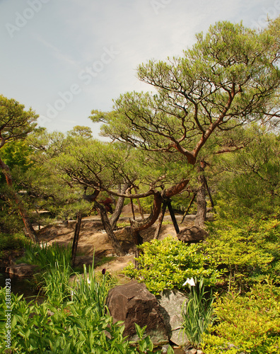Koko-En Gardens photo