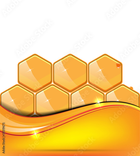 Honey vector illustration