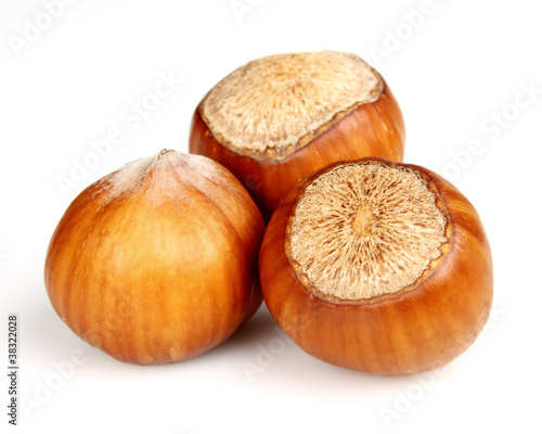 Dried hazelnuts in closeup
