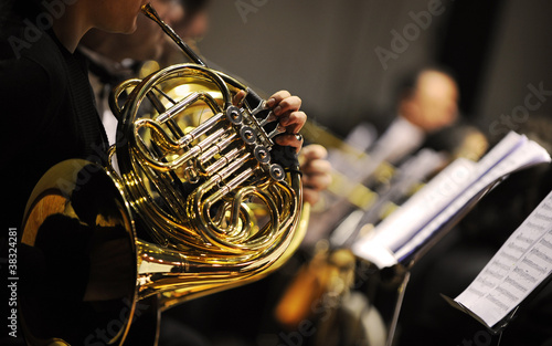 french horn photo