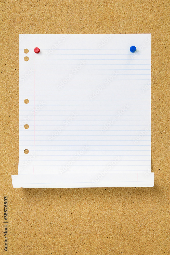 Blank Paper on Cork Board Blank Paper on Cork Board