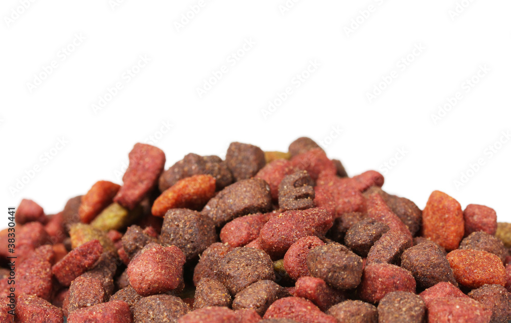 Dry cat food isolated on white Dry cat food isolated on white