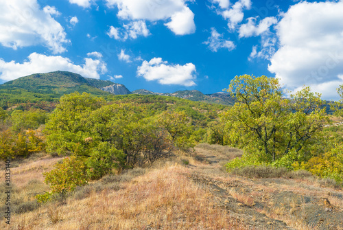 Fototapeta Naklejka Na Ścianę i Meble -  Landscape in Crimean mountains near Gurzuf resort