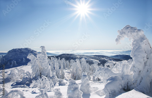 Winterlandschaft mit Sonne, Copyspace