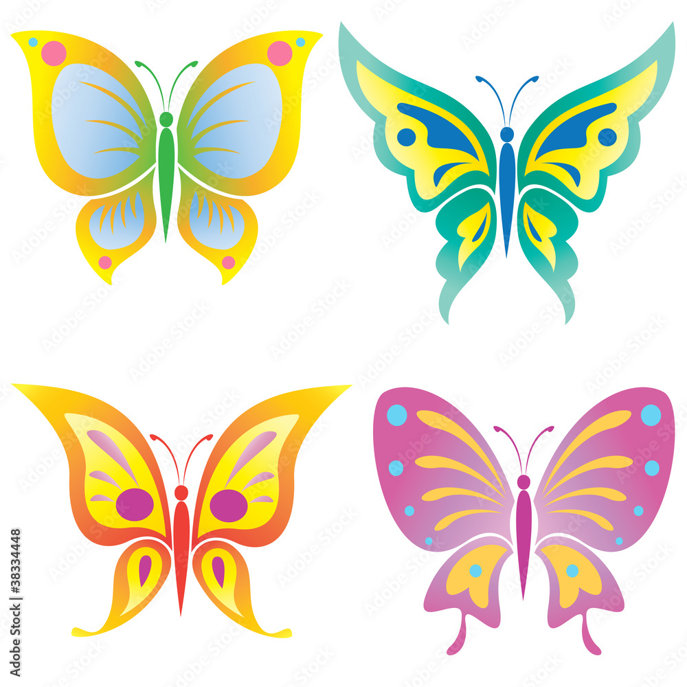 Vector illustration of a Beautiful butterfly Vector illustration of a Beautiful butterfly