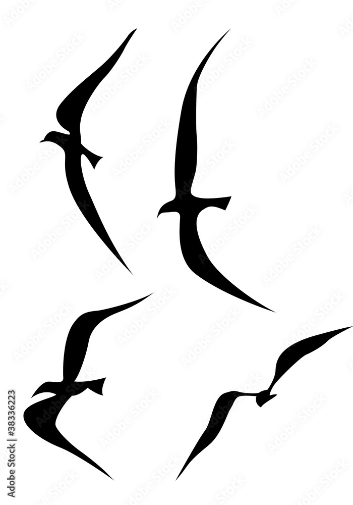 Fototapeta premium flying birds silhouette on white background