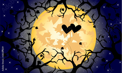 night sky